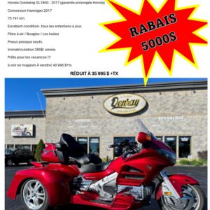 Honda Goldwing GL1800 - 2017 Conversion Hannigan