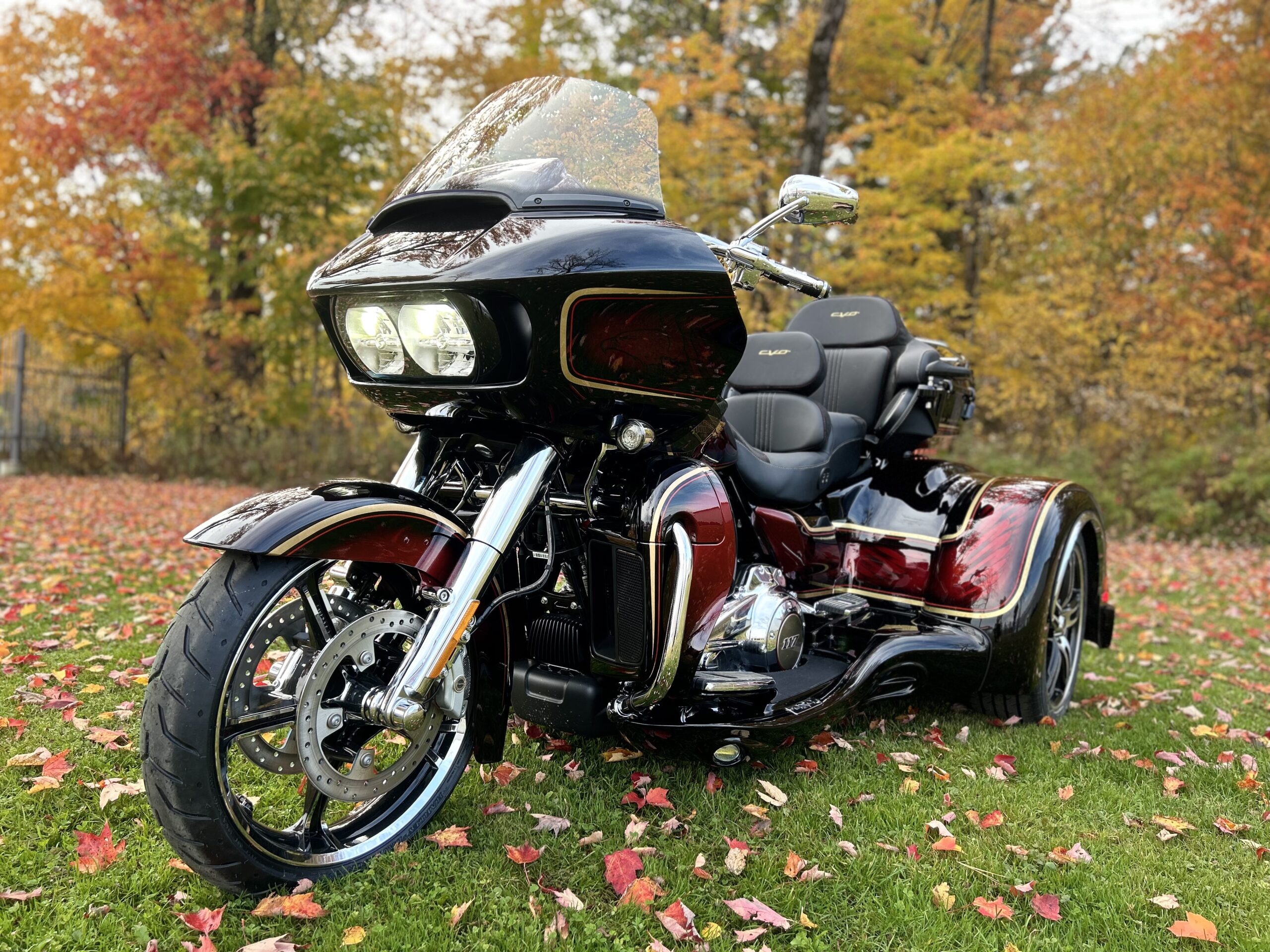 *CONVERSION* trois-roues Harley-Davidson Daytona, série FL 1999-2023 – Image 10